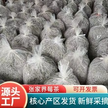 批发定制莓茶芽尖龙须茶叶永顺霉茶10斤大包装恩施藤茶张家界莓茶