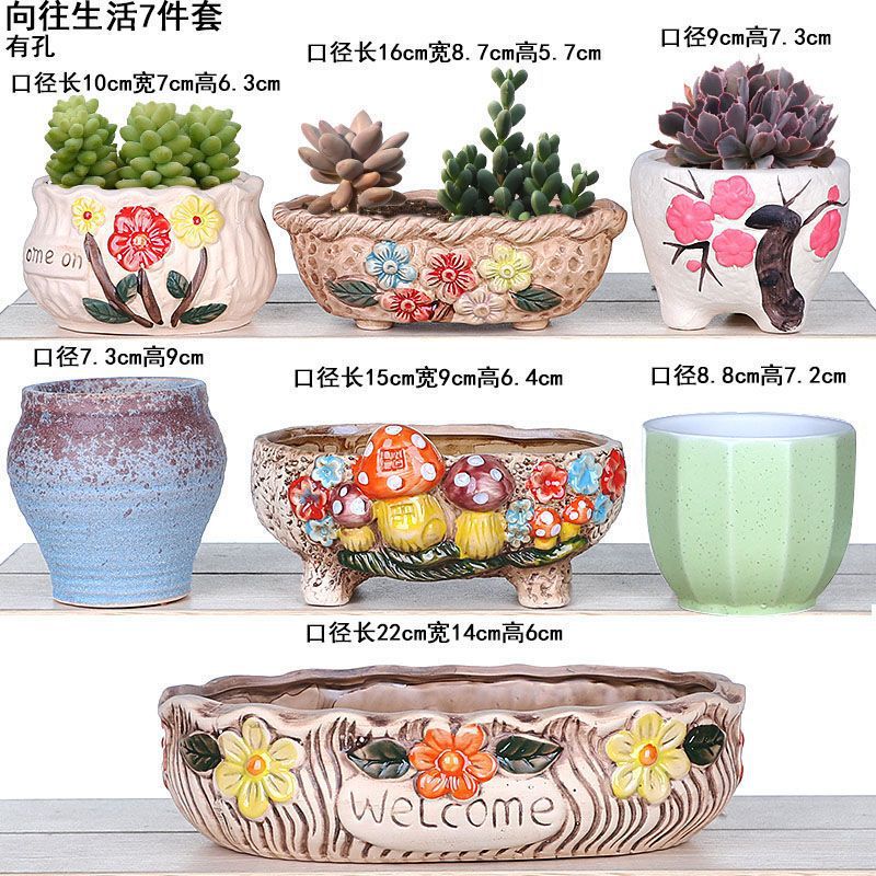 Large Ceramic Succulent Flower Pot Clearance Sale Creative Hanging Orchid Succulent Plant Wholesale Deal