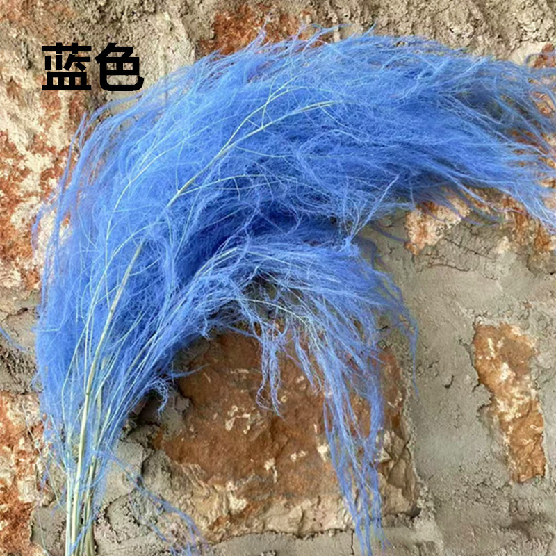 bleu / 80-100g