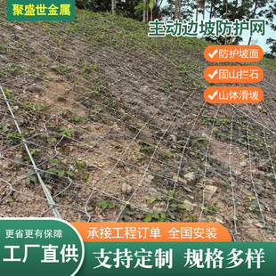 Active Slope Protection Net, Diamond-Shaped Slope Protection Net, Anti-Landslide Net, Landslide Protection Net