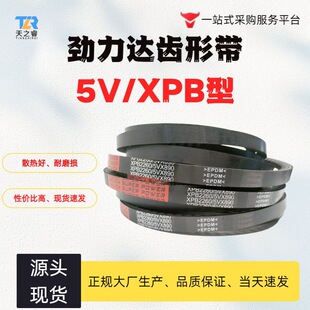 �����_ ���������z���ӎ��XV�͎�XPB2020/5VX800��XPB2500/5VX990