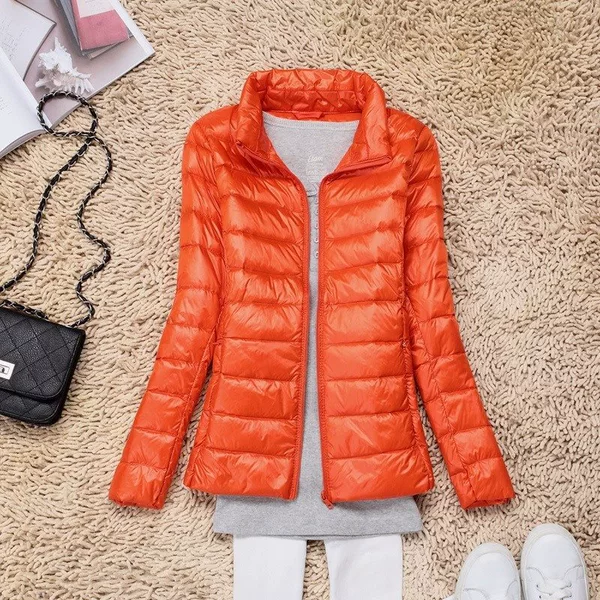 Orange-standing collar