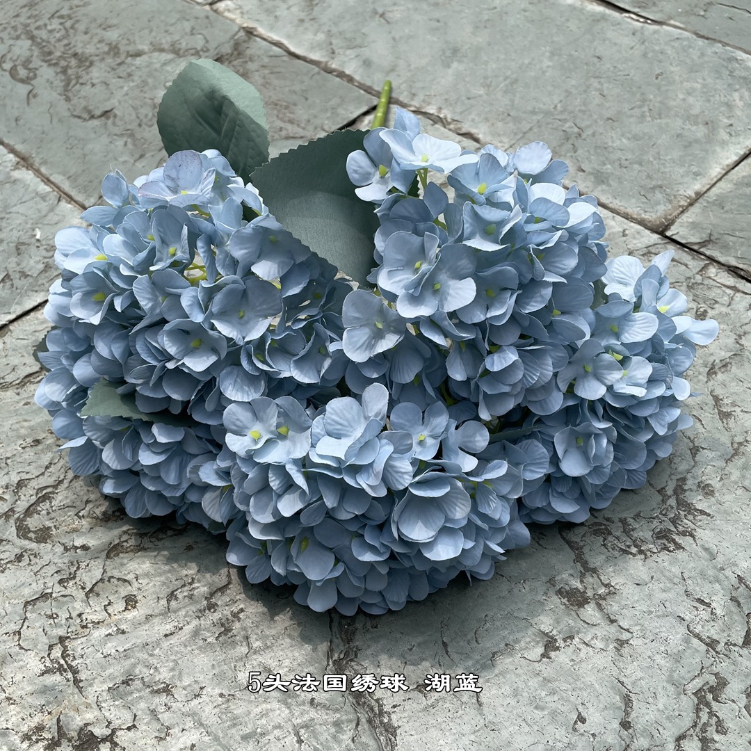 3 #5 cabeza Hortensia francesa Lago Azul