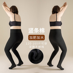 大码棉竖条秋冬打底裤女高腰连裤袜外穿胖mm显瘦裤富姐一体裤加肥