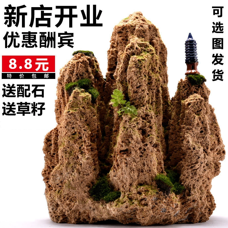 Водопоглощающий камень каменистый бонсай Оригинальный камень Шеунг Шуй Микроландшафт