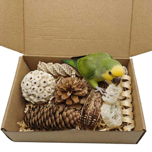 �W�^��ҧ���DIY���b��Ȼ�ɹ�����␞ĥ����ĵ�����P��Ƥͨ��