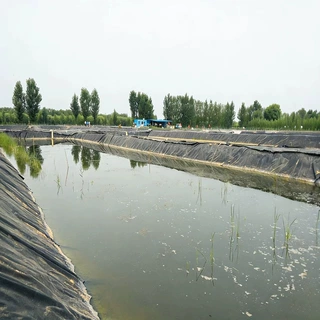 鱼塘防渗膜氧化塘防渗土工膜污水池化粪池垃圾场尾矿库hdpe土工膜