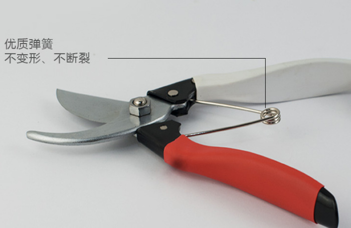 凯姿 KAZZ凯姿修枝剪园艺枝条修剪树枝剪刀园林工具剪花木剪