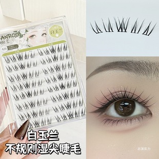 ���ᵭ�ϵ�����m�ٽ�ë���z��ж��ճ�۽�ë����2025���¿��