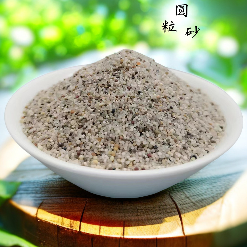 2023-11-24美图设计室- AI商品图 (1)_副本