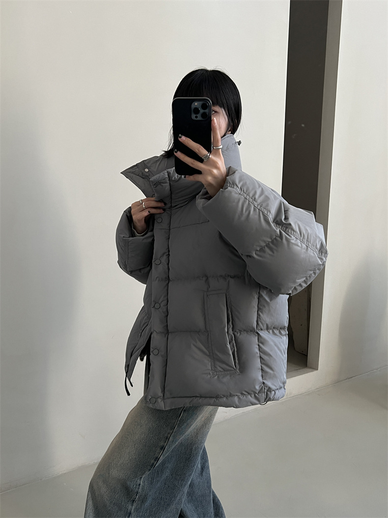 2024-11-26 152913.jpg