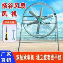 BֳSLrÓPͨLŚȹISͨLŚTF