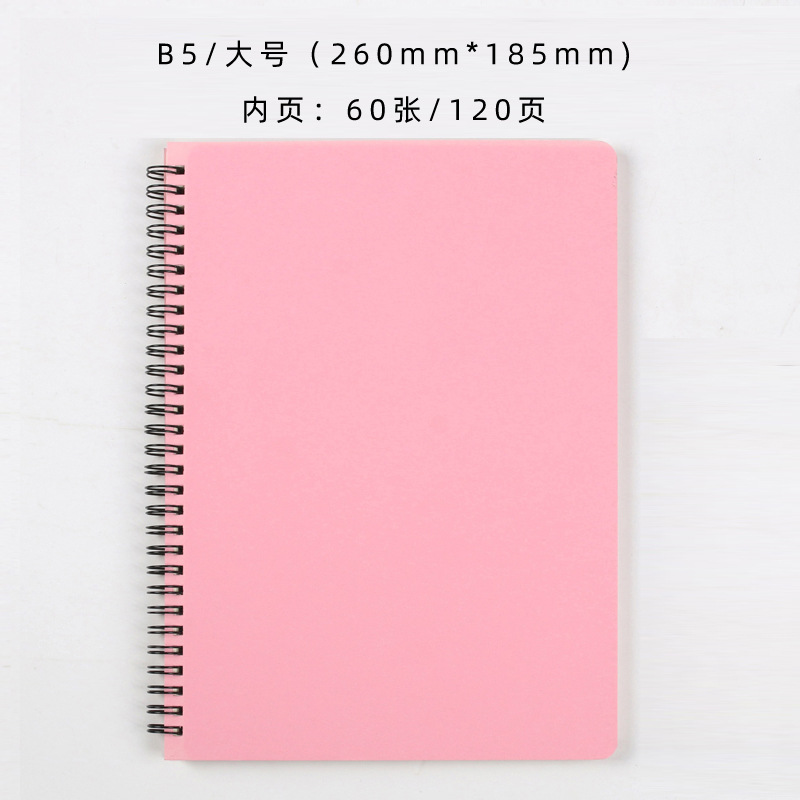B5 대형 핑크