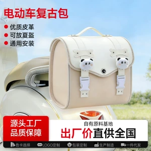 Retro Luggage Electric Vehicle Trunk Rear Storage Box for Electric Motorcycles Like Tailing, Yadea, Niu, and Ninebot