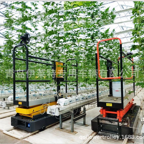 厂家直销农业采摘车，剪叉高空作业车，自动行走高空采摘车番茄车