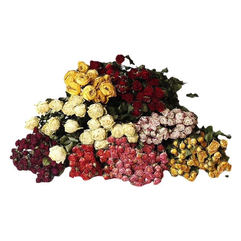 Flor seca Flor eterna Gypsophila Bola de oro No me olvides Flor seca Rosa hoja de eucalipto Pine Fruit Lover Grass al por mayor