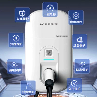 Luzhuchong New Energy Electric Vehicle Elektrikli avtomobil şarj cihazları