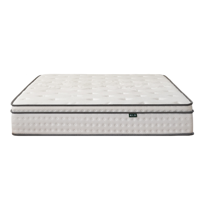 Master Ma Five-Star Hotel Simmons Sponge Mattress Latex Coconut 20cm Silent Independent Spring Mattress Home