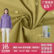 高密30D尼龙起皱 户外运动登山服风衣外套梭织布料 箱包里布面料