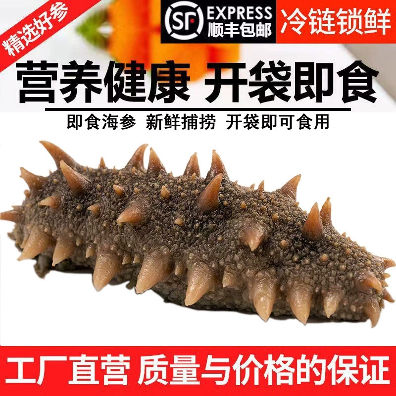 Морской огурец Mingzun 9А класса, готовый к употреблению, из Даляня, свежий морской огурец из Даляня, оптовая продажа напрямую с завода, готовый к употреблению морской огурец 500г