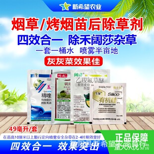 ������������ó��݄� ���ɯ�s��ͨ�� 15%��୺��`��Ч��һ