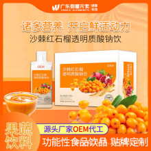 OEM透明质酸钠沙棘原浆果汁红石榴饮品 药食同源复合果蔬汁饮料品