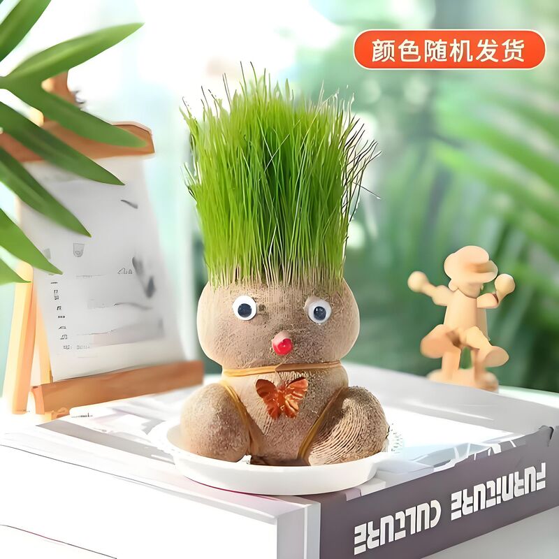 Grass Head Doll Small Potted Long Grass Doll Flowering Doll Green Plant Hydroponic Kindergarten Kidsren's Fun Grass Doll Grass Head Doll Small Potted Long Grass Doll Flowering Doll Green Plant Hydroponic Kindergarten Kidsren's Fun Grass Doll