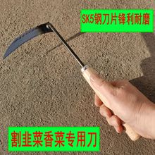 ��²˵�С砵����砵�С̖��Ұ�˸�ݵ����r�òݵ��S��ֱ�N����