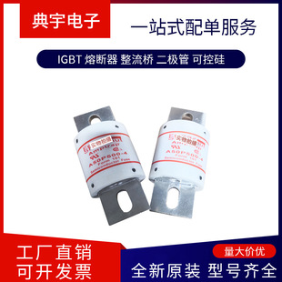 French Fuse A070Ud31Lli450 P 300163   A070Ud31Lli500 Q 300164
