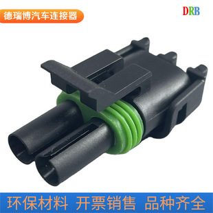 2p automotive terminal wiring harness plug connector 12015793 Delphi connector DJ3021Y-2.5-21