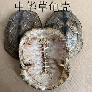 ��ș������ ������ �������� ������ �����Ϛ�����������������