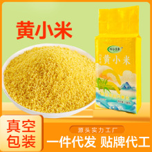【工厂】内蒙古黄小米500克真空新小米黄小米源头工厂小米粥原料