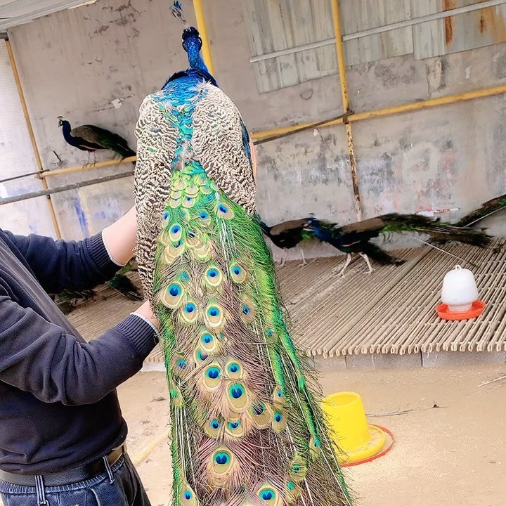 2025-05-22 22:08:42.jpg