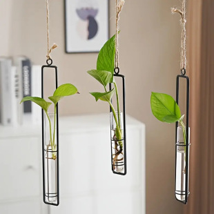 Creative hanging hemp rope hydroponic pendant wrought iron glass vase living room wall hanging hydroponic green plant container wall decoration