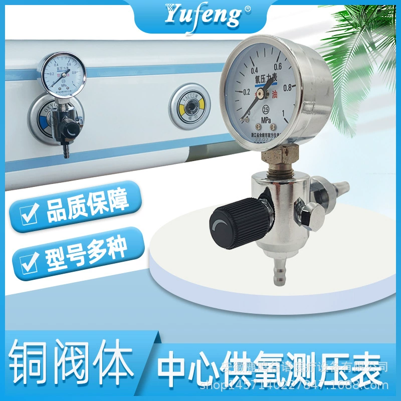 Оборудование детектора давления газа поставки кислорода манометра кислорода центральное терминальное с подвесным выходом источника газа