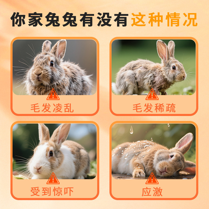 兔子维生素补充电解多维颗粒电解质营养补充剂兔子专用多种维生素|undefined