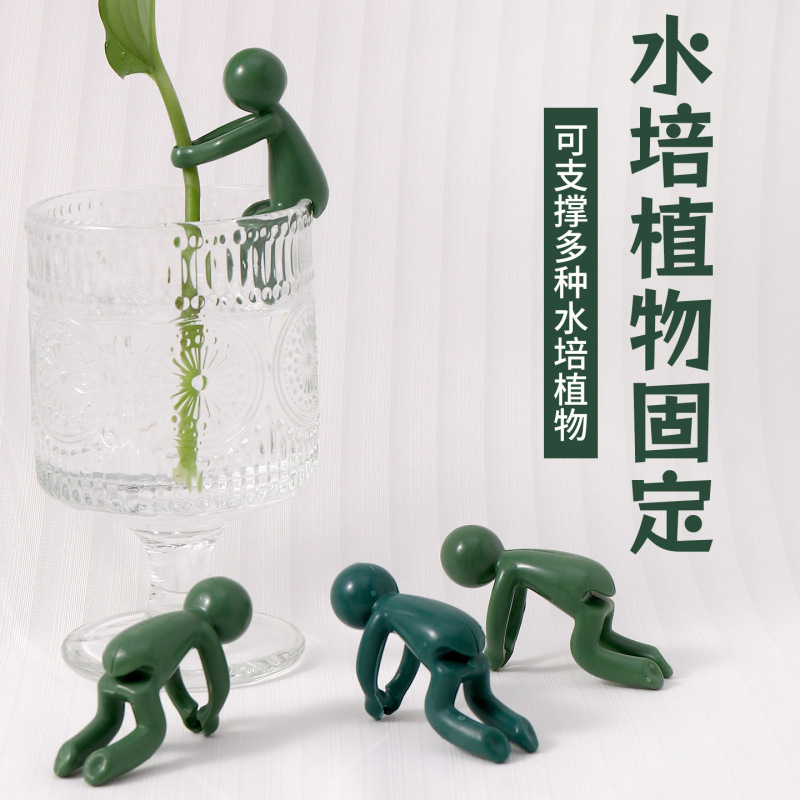 水培植物固定器植物生长伴侣水培器皿植物支撑架桌面装饰固定器|undefined