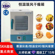广州大祥中药材烘干机烘箱商用小型干燥箱食品果干茶叶药丸烘干箱