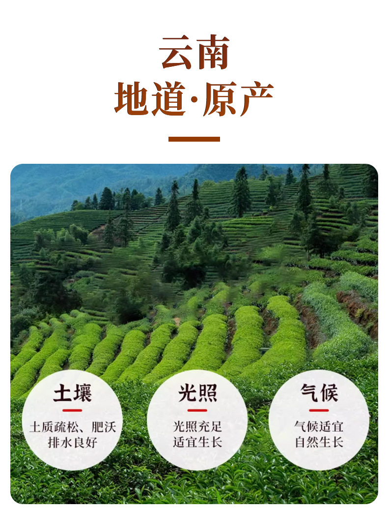 Roasted Dried Ginger Slices (Zingiber officinale) — Low-Temperature Dried Food Herb for Tea & Daily Brewing key features