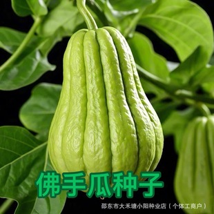 �r�Ҹ߮a���ֹϷN�ӿ����N������ֹ��̨ͥԺ��@�׷N���N�˷N��