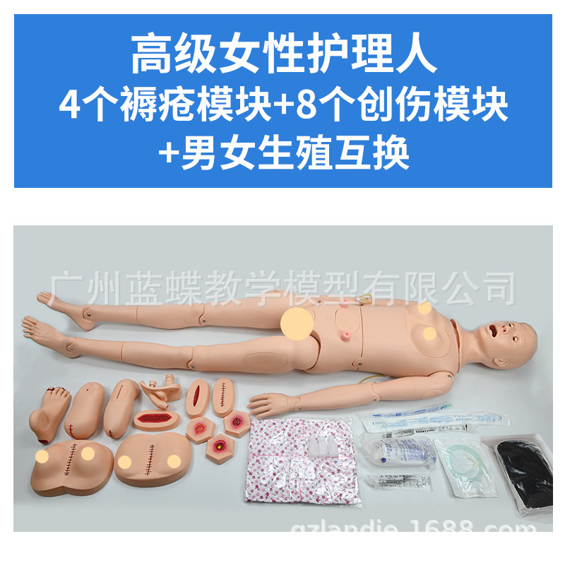 ���廤����ѵ ��Ů����ҽѧ ��ʿ������ѵ ��ɩ����֪ʶ����ģ��