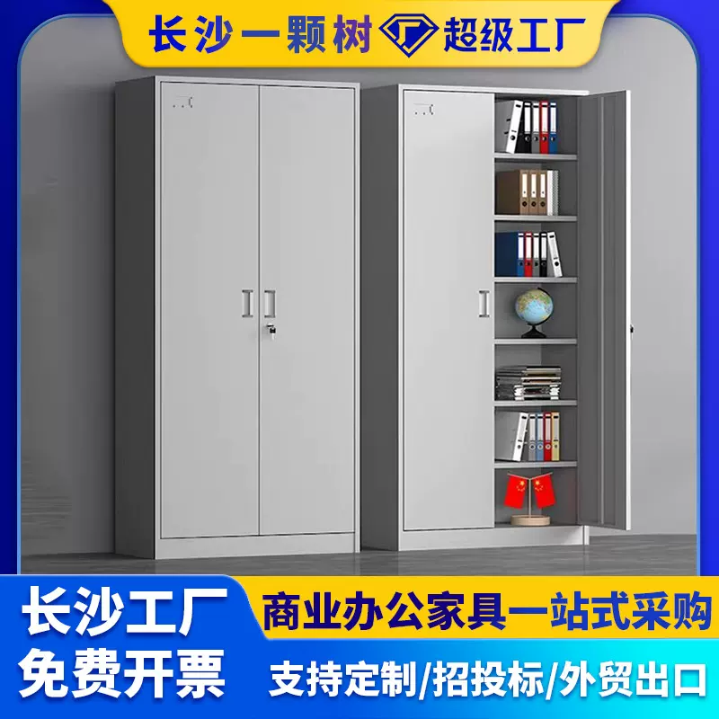 会计凭证柜钢制文件资料档案柜办公室带锁铁皮书柜落地加厚钢制
