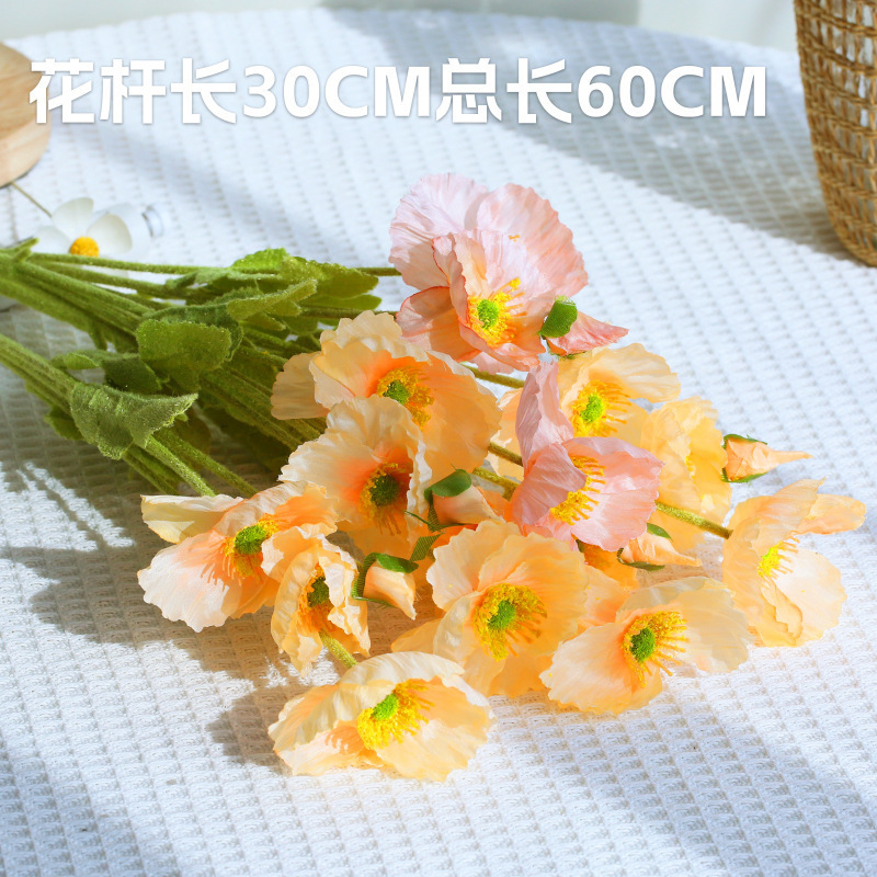 小红书推荐INS风蛋糕拍照道具 周边氛围背景墙装饰品摆拍摄影饰品|undefined