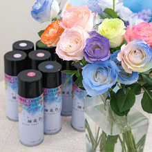Florist Supplies Flower Color Spray Dry Flower Spray