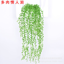�S��ֱ�N����ֲ����R�� �ٗl�ڒ��҃��b� �������˜I�b�