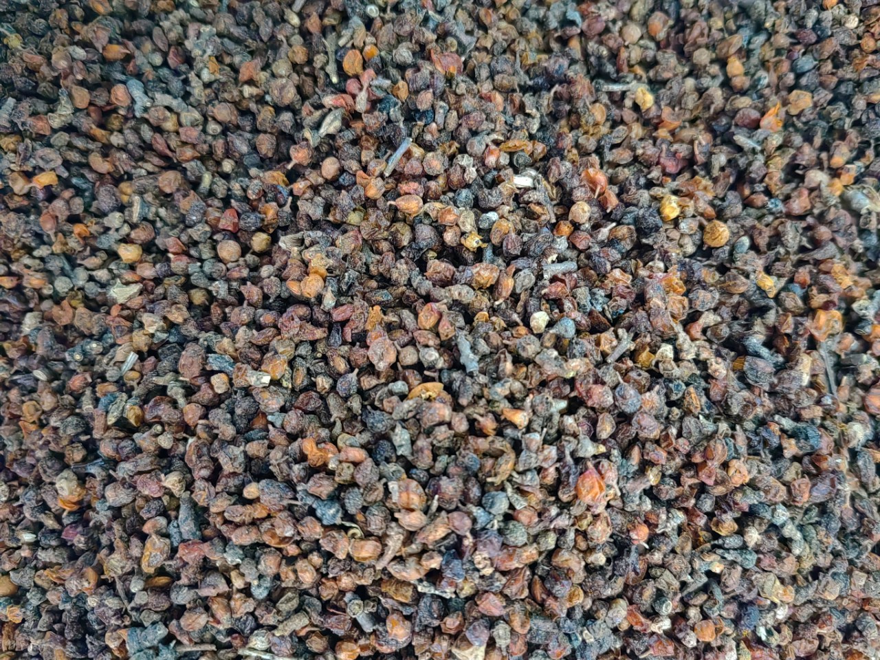 Sea Buckthorn Dried Leaf Tea (Hippophae rhamnoides) — Xinjiang & Inner Mongolia Herbal Tea 500g in use