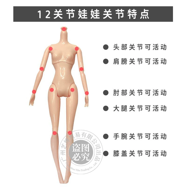 12 Joint general skin body 143103
