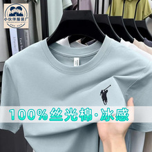 100%˿�����п����t��2026�ļ��¿��������Բ����ʿ����t������