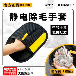 Source Spot Xiaozhuang Electrostatic Hair Removal Gloves Pet Hair Removal Cloth Cross-Border New Popular Original