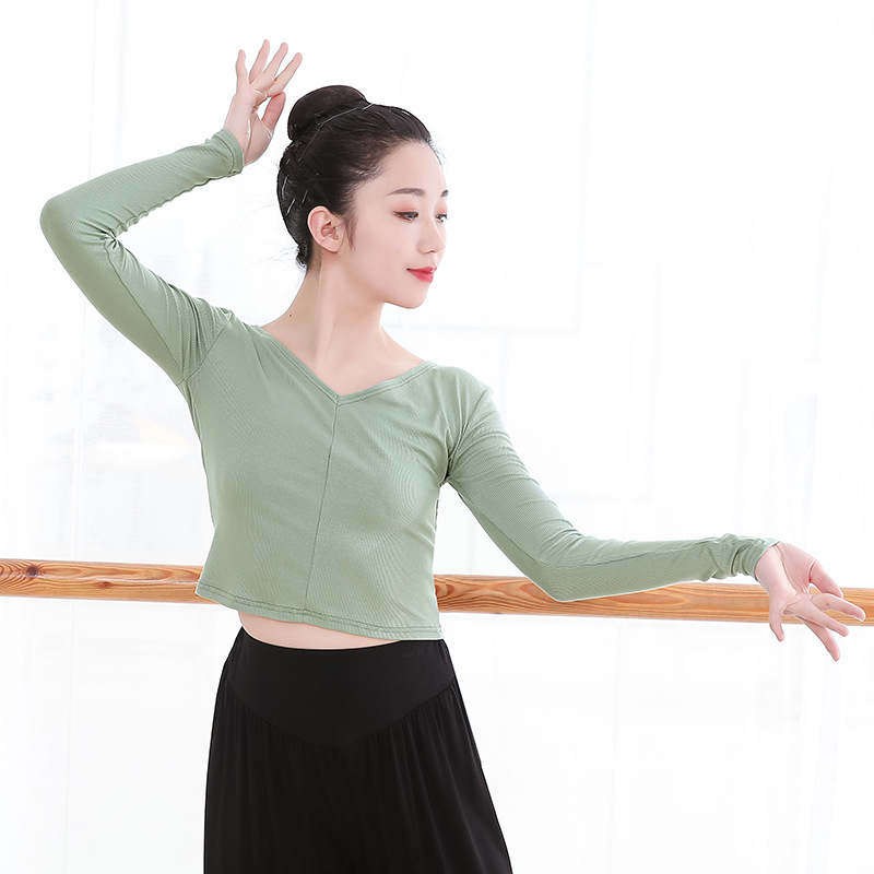 Chinese Dance Costume for Women Adult Long Sleeve V-Neck Latin Dance Dress Ballet Modern Dance Top for Teachers Art Exam